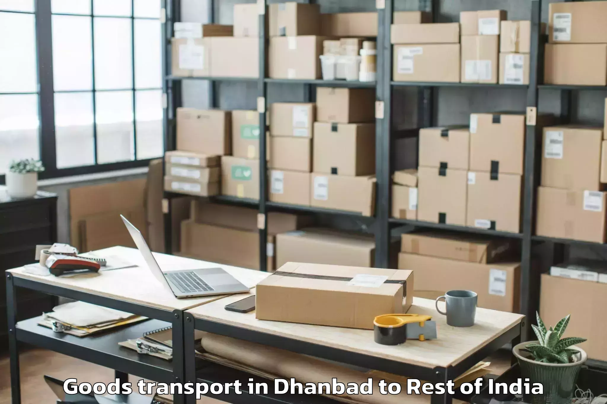 Dhanbad to Srinagar Goods Transport